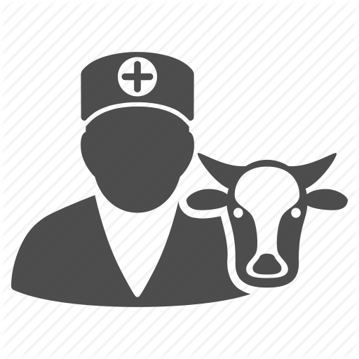 Agriculture, Animal Treatment, Cow Doctor, Healthcare, Medicine