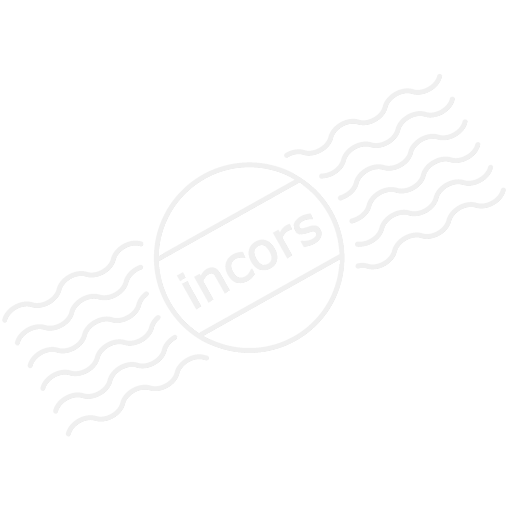 Iconexperience M Collection Video Chat Icon