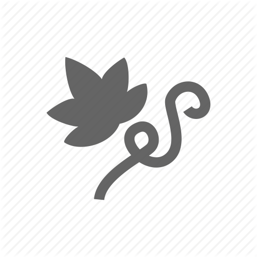 Grape, Green, Leaf, Nature, Plant, Vine Icon