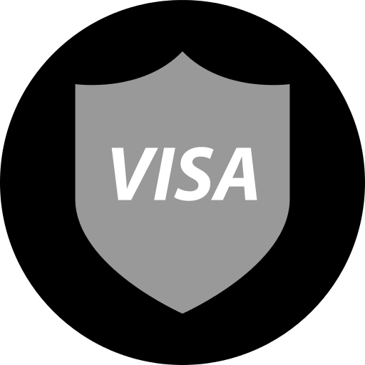 Visa Png Icon