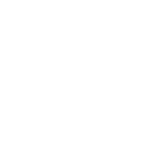 White Visa Icon