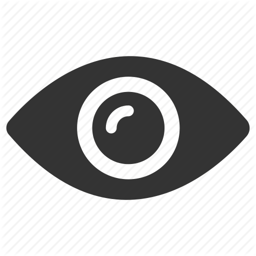Eye, Look, Privacy, Search, Sight, View, Visibility Icon