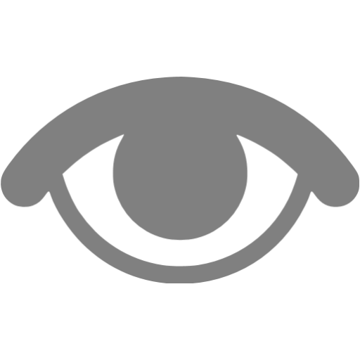 Gray Visible Icon