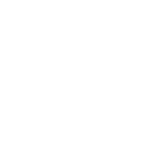 White Wallet Icon