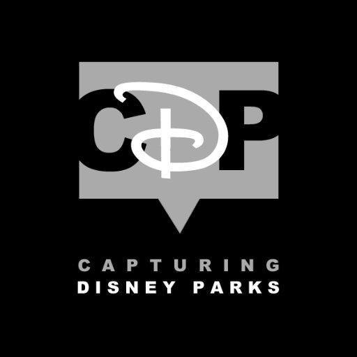 Capturing Disney Parks