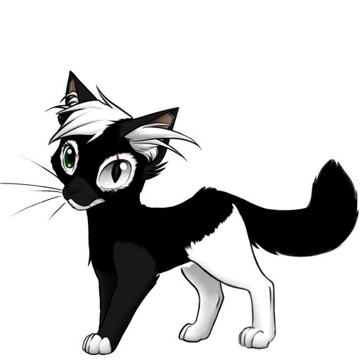 Moonheart Windclan Female Warrior Cats Clans