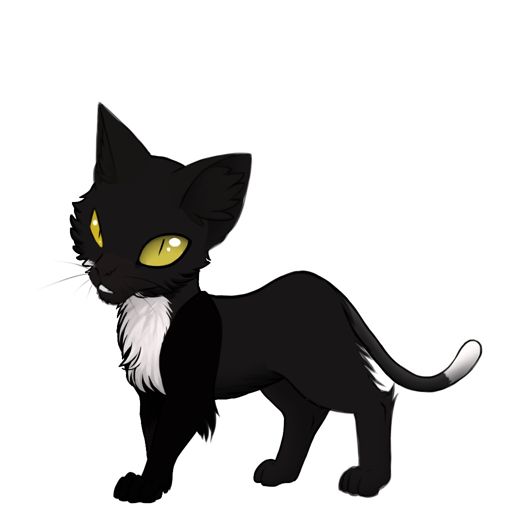 Moonsplash Warrior Cats Warriors Amino