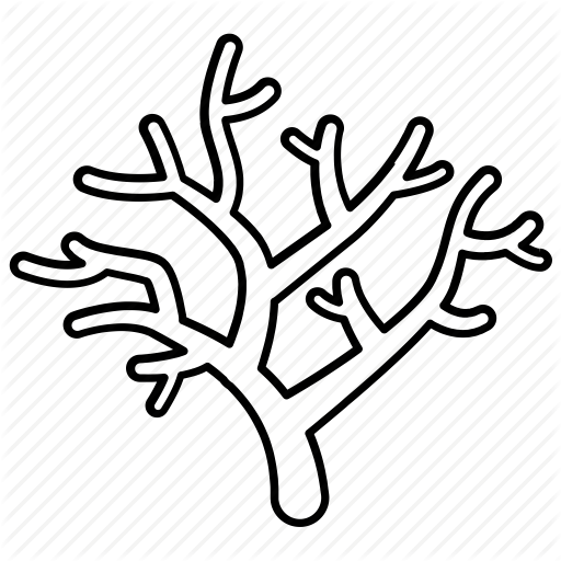 Collection Of Free Drawing Icon Coral Download On Ui Ex