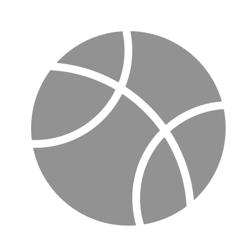 Basketball Icon
