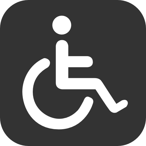 Accessibility Icon