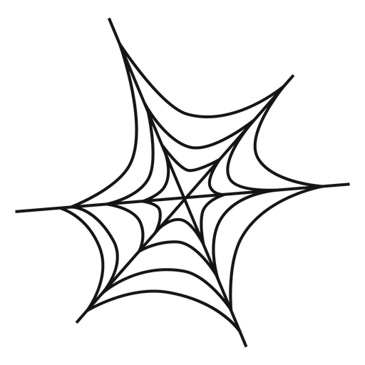 Spider Web Thin Line Icon