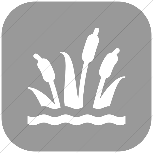 Flat Rounded Square White On Light Gray Iconathon