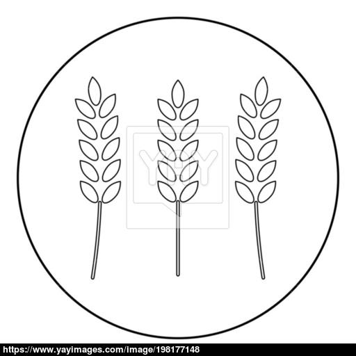 Wheat Icon Black Color In Circle Vector
