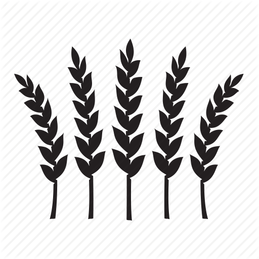 Wheat Icon Png Png Image