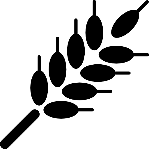 Ear Of Wheat Icons Free Download