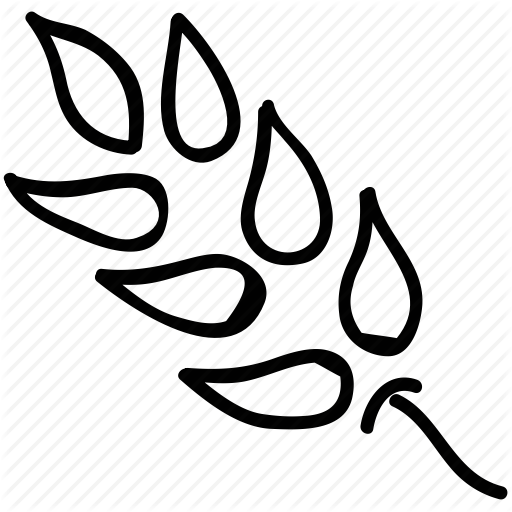 Agriculture, Grain, Seed, Wheat Icon