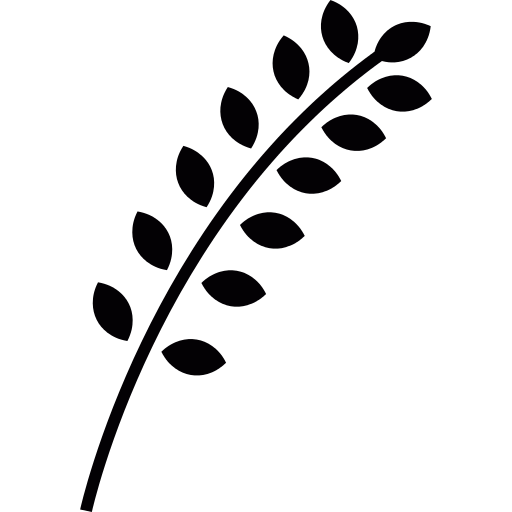 Ear Of Wheat Png Icon