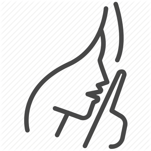 Confidential, Mute, Quiet, Secret, Silent, Whisper Icon