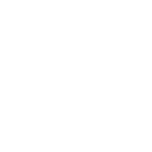 White Camera Icon