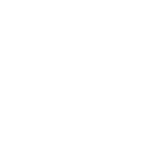 White Security Camera Icon