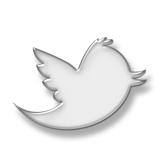 Twitter Logo