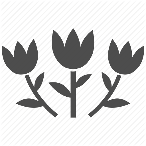 Beautiful, Beauty, Blossom, Environment, Flower Plant, Natural