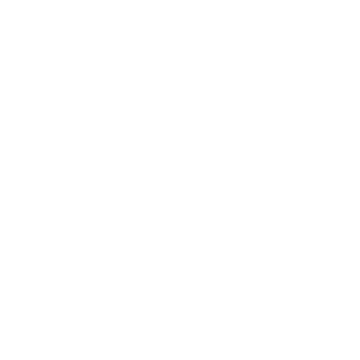 White Globe Icon