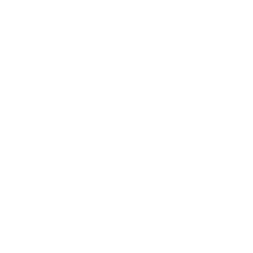 White Google Plus Icon
