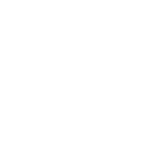 White Lock Icon