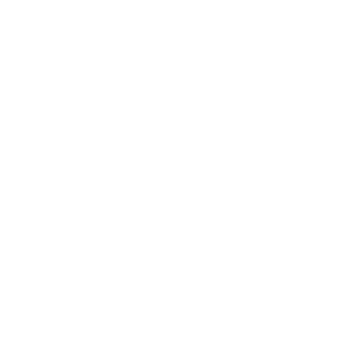 Phone Icon White
