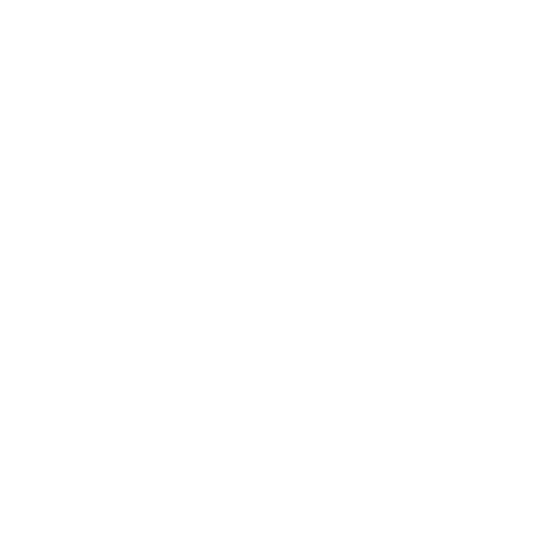 White Wireless Icon