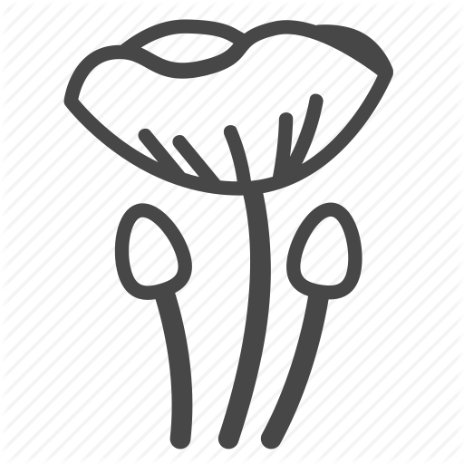 Flower, Flowers, Garden, Opium, Plant, Poppy, Wildflower Icon