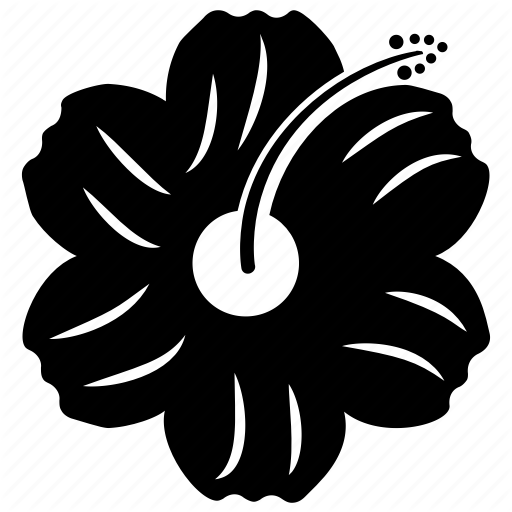 Cherry Blossom, Domestic Flower, Forest Plant, Tropical Flower