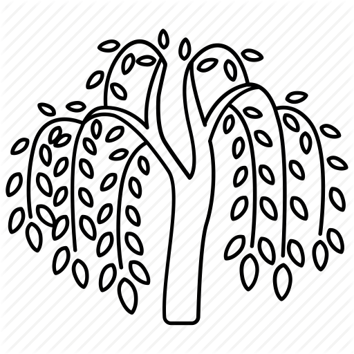 Branches, Fronds, River, Tree, Vegetation, Weeping, Willow Icon