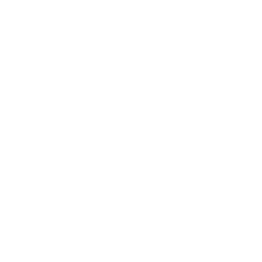 White Wifi Bars Icon