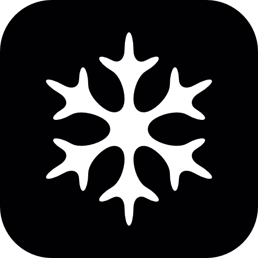 Snowflake Winter Shape In Black And White Icons Free Download