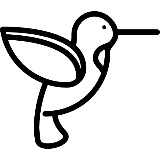 Hummingbird Icon