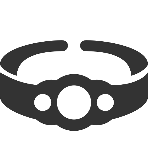 Championship, Belt Icon