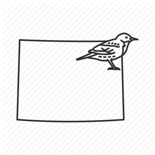 Borders, Map, State, State Bird, State Symbol, Usa, Wyoming Icon