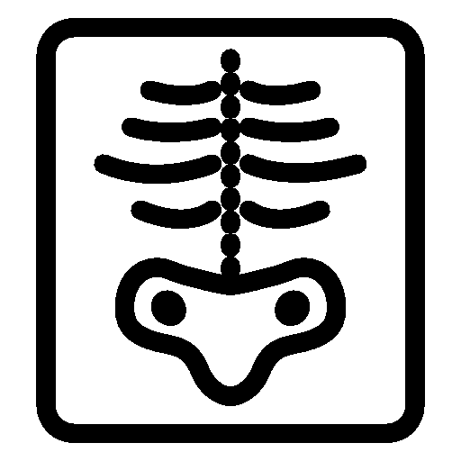 Healthcare Xray Icon Ios Iconset