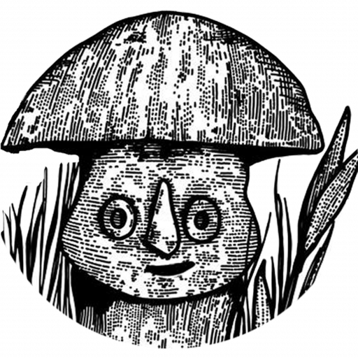 User Icon Audio Icon Tickets Mlb Jerseys Cheap Fungi People