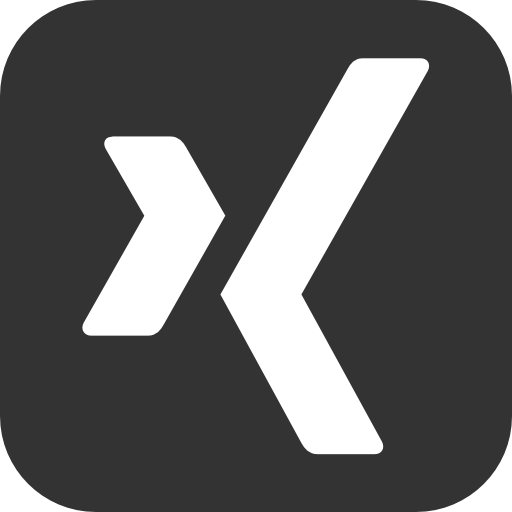 Xing Icon