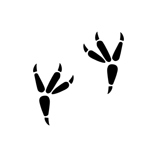 Crow Prints Free Vector Icons Designed