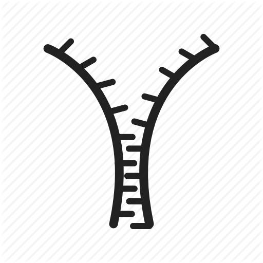 Clothing, Fabric, Fashion, Metal, Open, Zip, Zipper Icon