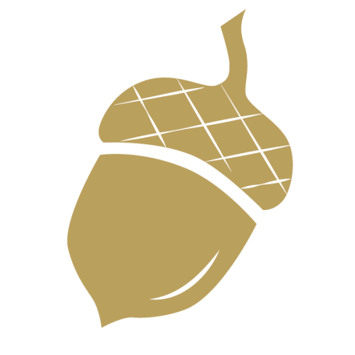 Cropped Acorn Icon Gold Acorn Studio
