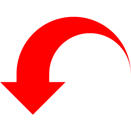 Red Action Undo Icon