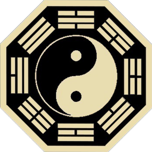 Acupuncture Tcm Patterns Latest Version Apk