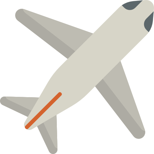 Flight Icon