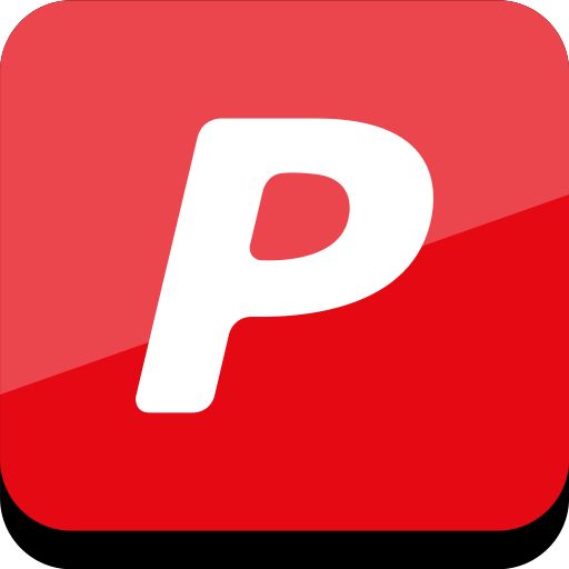 Connect, Media, Online, Pal, Pay, Social Icon Red Icons