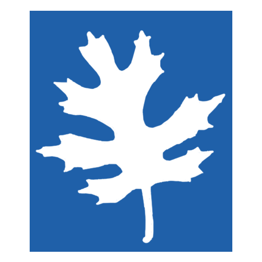 Cropped Site Icon Leaf
